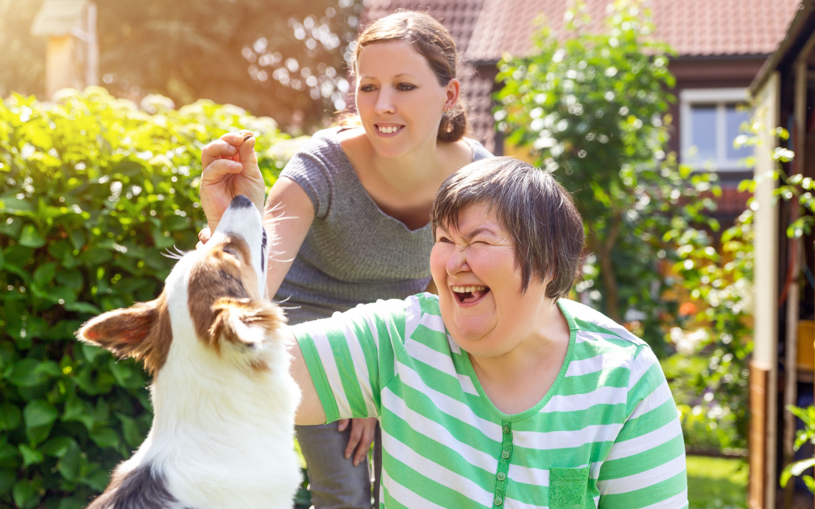 Just ONE Health and Social Care | Providing Care, Support & Accomodation | Dog and adults