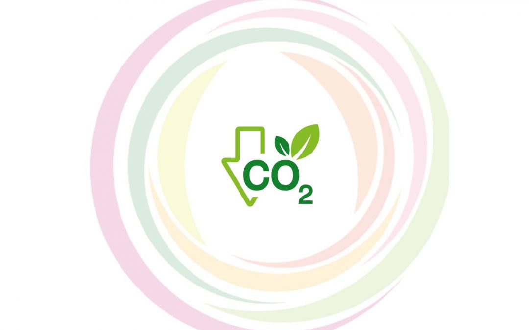 Just ONE – Carbon Reduction Plan